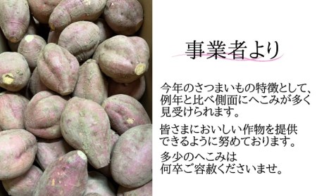 中園ファーム 種子島 安納いも （ 生芋 ） SS,Sサイズ 10kg　NFN473【450pt】 // 安納芋 安納いも 種子島 さつまいも 芋 いも お芋 安納芋 安納いも 種子島 さつまいも 芋