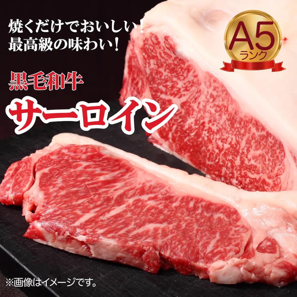 黒毛和牛 A5ランク サーロインブロック 500g 冷蔵 国産牛 ステーキ ブロック肉