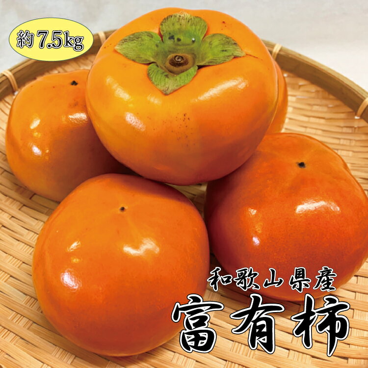 【ふるさと納税】 和歌山秋の味覚 富有柿 約7.5kg ※2025年11月上旬頃〜2025年12月上旬頃に発送（お届け日指定不可）