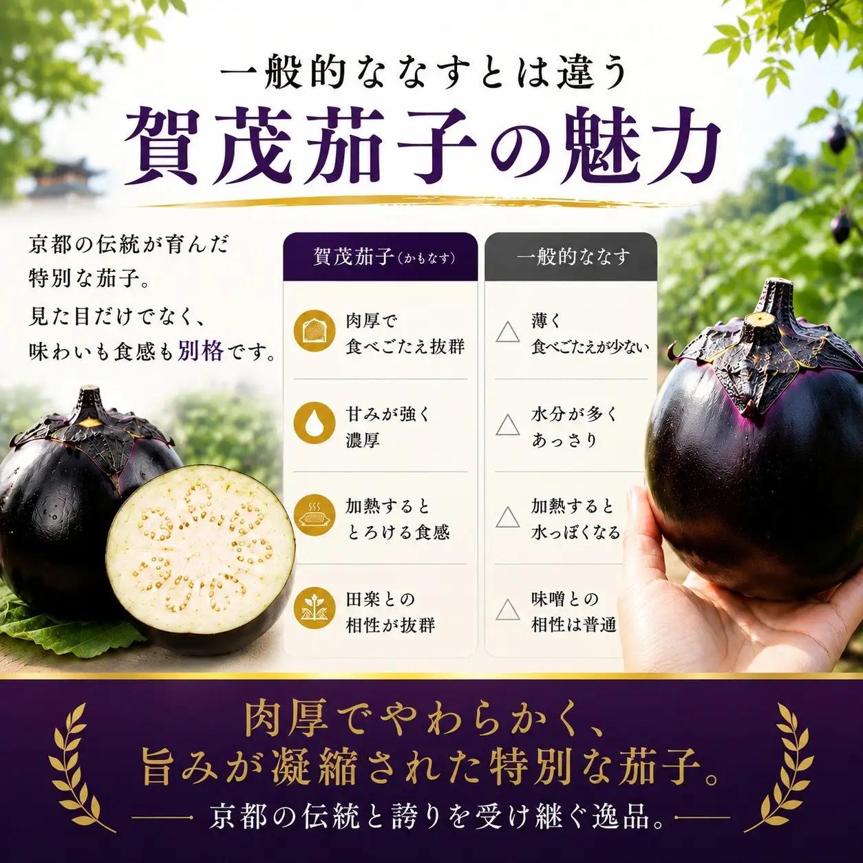 ＜3回定期便2026年7～9月発送＞賀茂茄子（京野菜）6個 約1.5kg×3回 ｜ 野菜