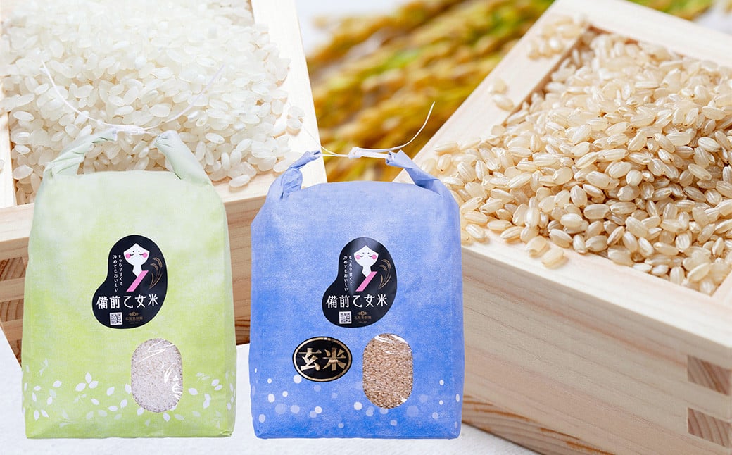 
            備前乙女米 白米 5kg×1袋・玄米 5kg×1袋（計約10kg）【2026年9月下旬迄発送予定】 ／ 2種類 お米 米 おこめ こめ コメ ご飯 ライス 精米 モチモチ 石原果樹園 岡山県 美咲町
          