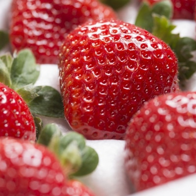 上級クラスの福岡産あまおう苺　EX(エクセレント)9-12粒【配送不可地域：離島】【1356436】