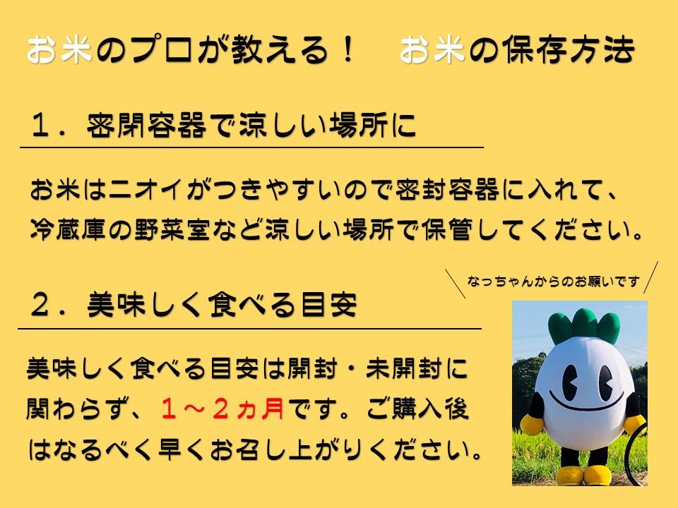 令和5年産 栃木県産　なすひかり　5ｋｇ ＪＡなすの産地直送　【大田原市・那須塩原市・那須町共通返礼品】