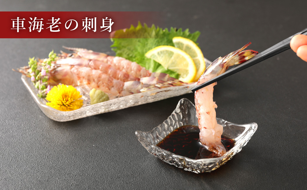 【3ヶ月定期便】原点の車海老「急速冷凍」250g（8～10尾）1パック 