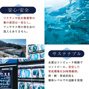 サーモン 富士頂純サーモン フィーレ 半身 骨なし 約600～800g 富士山麓のきれいな天然水で養殖された安心安全な サーモン 【完全無投薬 ワクチンフリー】 / サーモン 鮭 フィレ 骨なし 皮な