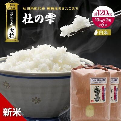 ふるさと納税 能代市 先行予約 新米 定期便6ヶ月 あきたこまち 20kg 計120kg [No.5335-1581]