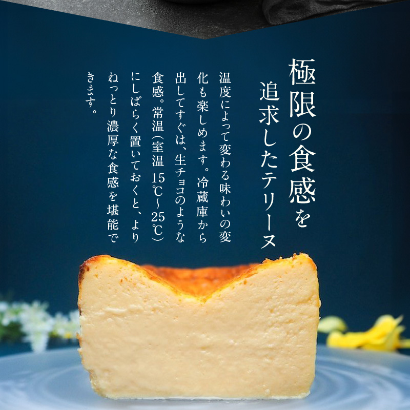 【テリーヌ専門店L】ミニサイズバスク風チーズのテリーヌ【グルテンフリー・保存料不使用】H173-020