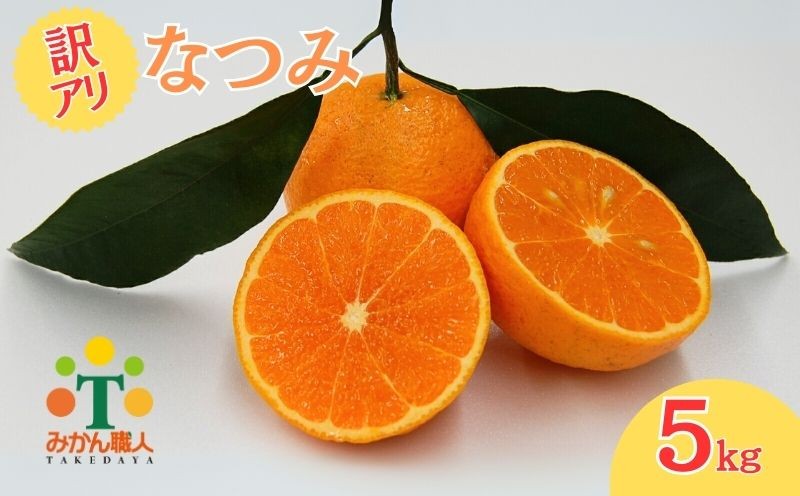 
            【訳あり】みかん職人のなつみ５kg フルーツ 果物 みかん職人 果物 オレンジ フルーツ 柑橘 みかん 愛媛県 愛南町 みかん職人武田屋 
          