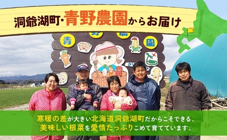 数量限定 根菜3種セット 計8.6kg 土付き 長芋 5kg 土付き ごぼう 1.8kg じゃがいも 1.8kg 先行予約 2026年11月下旬～12月下旬までのお届け 野菜 詰め合わせ 根菜 常温 