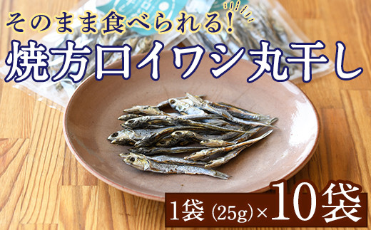 
            焼片口イワシ丸干し10袋セット(25g×10袋)海産物 いわし 鰯 おつまみ おかず【下園薩男商店】a-16-40-z
          