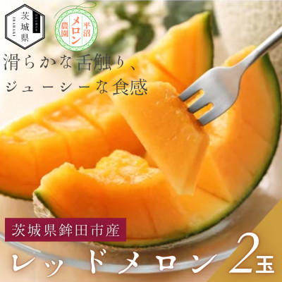 【優秀賞受賞農家直送】鉾田市産レッドメロン　1.4kg以上×2玉　(※26年5月～発送予定)【配送不可地域：離島・沖縄】【1655542】