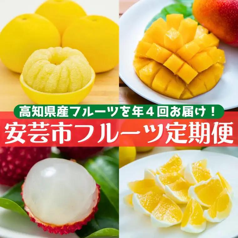 安芸市フルーツ定期便 4回【フルーツ定期便】