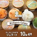 【ふるさと納税】ジェラート アイス 詰め合わせ 120 ml × 10個 マドンナキャロット vegan ミルク ヘルシー 濃厚 ウイリアムズジェラート 神重農産 コラボ 豆乳 抹茶 ピーナッツミルク ギフト からだに優しい お取り寄せ 愛知県 碧南市 送料無料