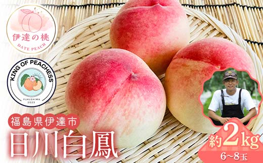 キングオブピーチ 桃 「日川白鳳」約2kg（6～8玉）日川白鳳 伊達の桃 桃 もも モモ 果物 くだもの フルーツ 国産 食品 F21C-147