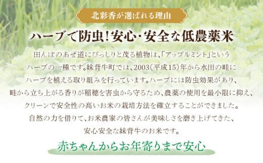 定期便 令和8年産 妹背牛産[北彩香]【ゆめぴりかvsプレミアムななつぼし】特Ａ食べ比べ 10kg×3ヶ月連続 2027年3月発送 令和9年3月から発送(3ヶ月)