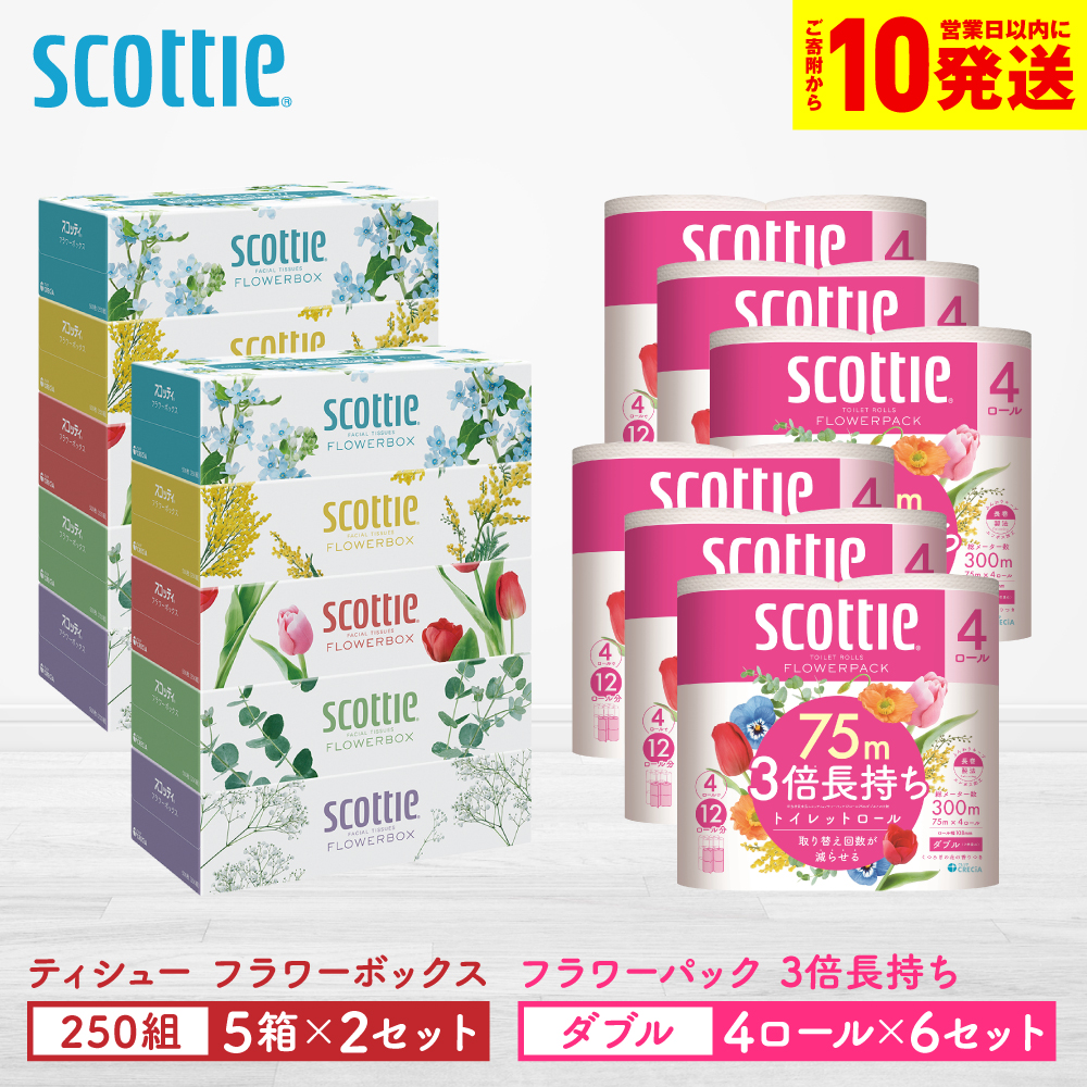 【スコッティ】 組み合わせ ティシュー フラワーボックス 250組 10箱 トイレットロール ダブル フラワーパック 3倍長持ち 24ロール ティッシュ トイレットペーパー 日用品 防災備蓄 ストック 備蓄 新生活 防災 消耗品 生活用品 日用消耗品 箱ティッシュ