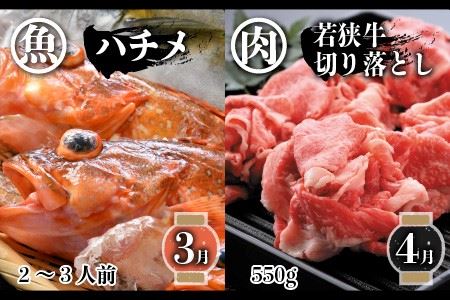 【先行予約】【6ヶ月連続お届け】 若狭牛＆旬の鮮魚 お手軽定期便 ～お肉のプロと魚のプロがコラボ～ 【2025年3月上旬以降順次発送予定】 [G-2205]