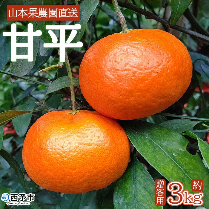 
山本果樹園直送　甘平　約３kg（贈答用）
