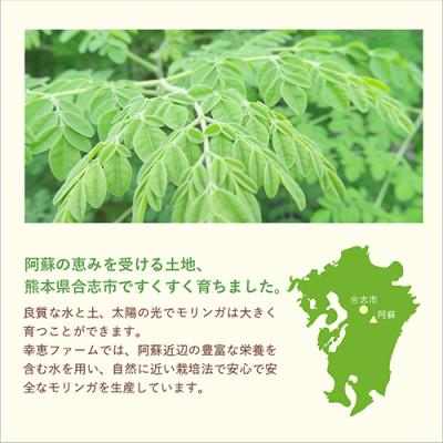 ふるさと納税 合志市 幸恵ファームの赤と緑の野菜入りモリンガなめらかパウダー　2個入 |  | 02
