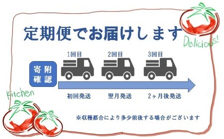 ミニトマト アイコ 【3ヶ月定期便】