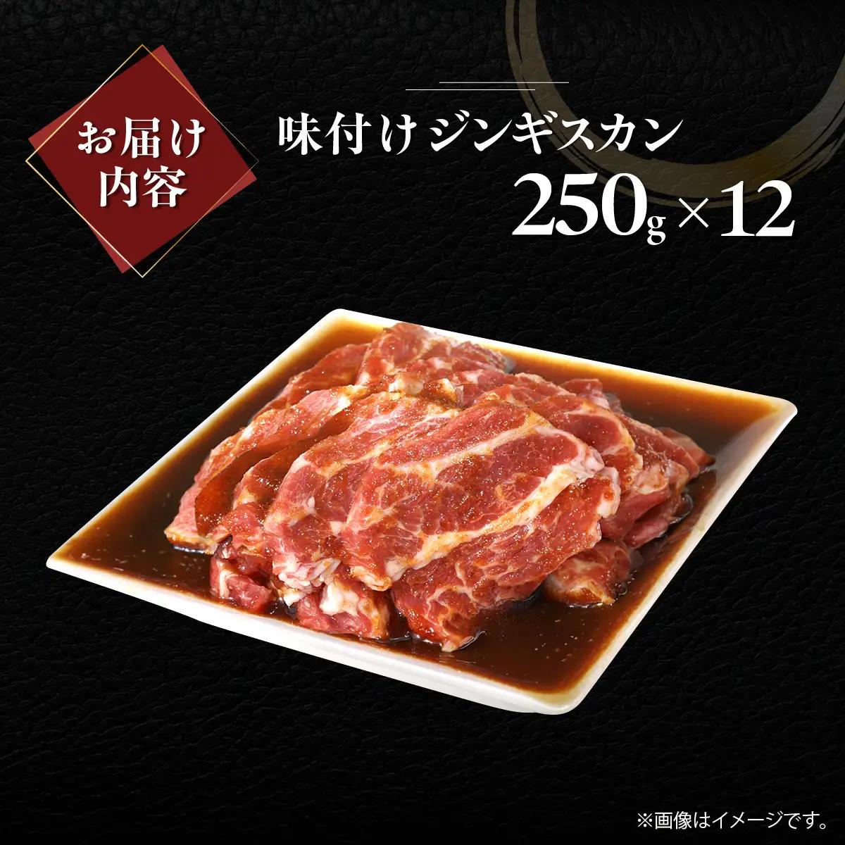 味付けジンギスカン250g×12 MROA268
