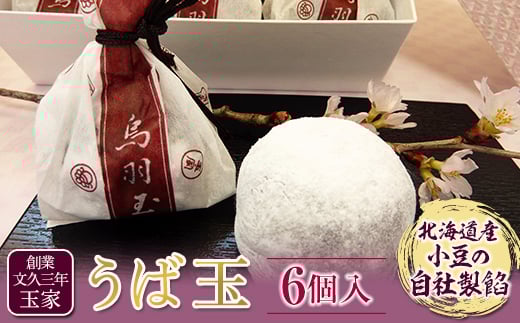 創業文久三年 玉家 うば玉6ヶ入  お茶菓子 お茶請け 和菓子 菓子 食品 F21R-005
