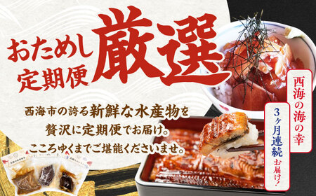 【3回定期便】海の幸～見つけた！西海の宝物 定期便 ～ [CZZ026]  長崎 西海 魚 海の幸 海鮮 加工品 うなぎ 海鮮丼 贈答 ギフト
