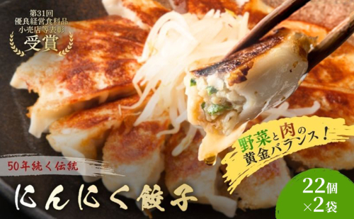 にんにく餃子44個(22個×2袋) 餃子 冷凍餃子 冷凍ギョーザ 手作り餃子 ギョーザ 点心 中華 中華料理 惣菜 簡単調理 加工食品 静岡県 森町