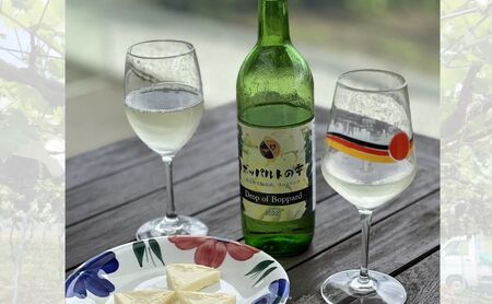 2024年産　姉妹都市ワインセット