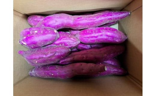 【先行予約・12月中旬以降出荷】神崎町産ベニアズマ「さつまいも」無選別 5kg[016-a001]【千葉県神崎町ふるさと納税】