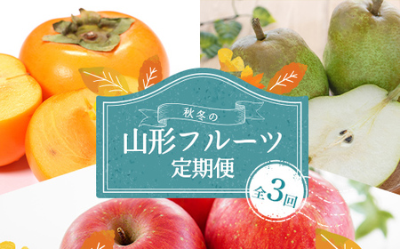 ≪2025年10月上旬頃より発送開始≫秋冬の山形フルーツ定期便（全3回） フルーツ 果物 くだもの 果実 セット 詰め合わせ 詰合せ 食品 山形県 FSY-1347
