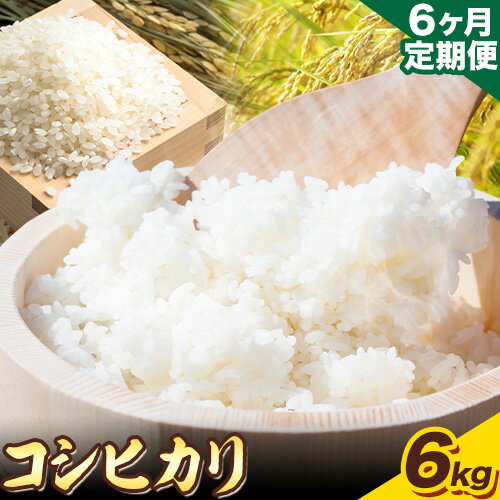 【ふるさと納税】【6ヶ月定期便】“土づくりの恵み” つやっつやの特別栽培米お届け 6ヶ月コース 特別栽培米 コシヒカリ 2kg×3袋 有限会社 田中農場《ご入金を確認してから約2ヶ月後に出荷開始》鳥取県 八頭町 米 お米 ご飯 定期 定期便 送料無料