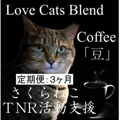 ふるさと納税 富士吉田市 【毎月定期便】さくらねこ支援コーヒー　豆　200g×2袋全3回