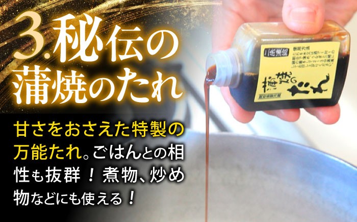 まるごとセット うなぎ ウナギ 鰻 蒲焼き 蒲焼 白焼き 白焼 国産 冷凍 小分け うな重 うな丼 ひつまぶし