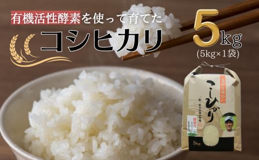 【令和7年産】有機活性酵素を使用 新見産コシヒカリ 白米5kg×1袋
