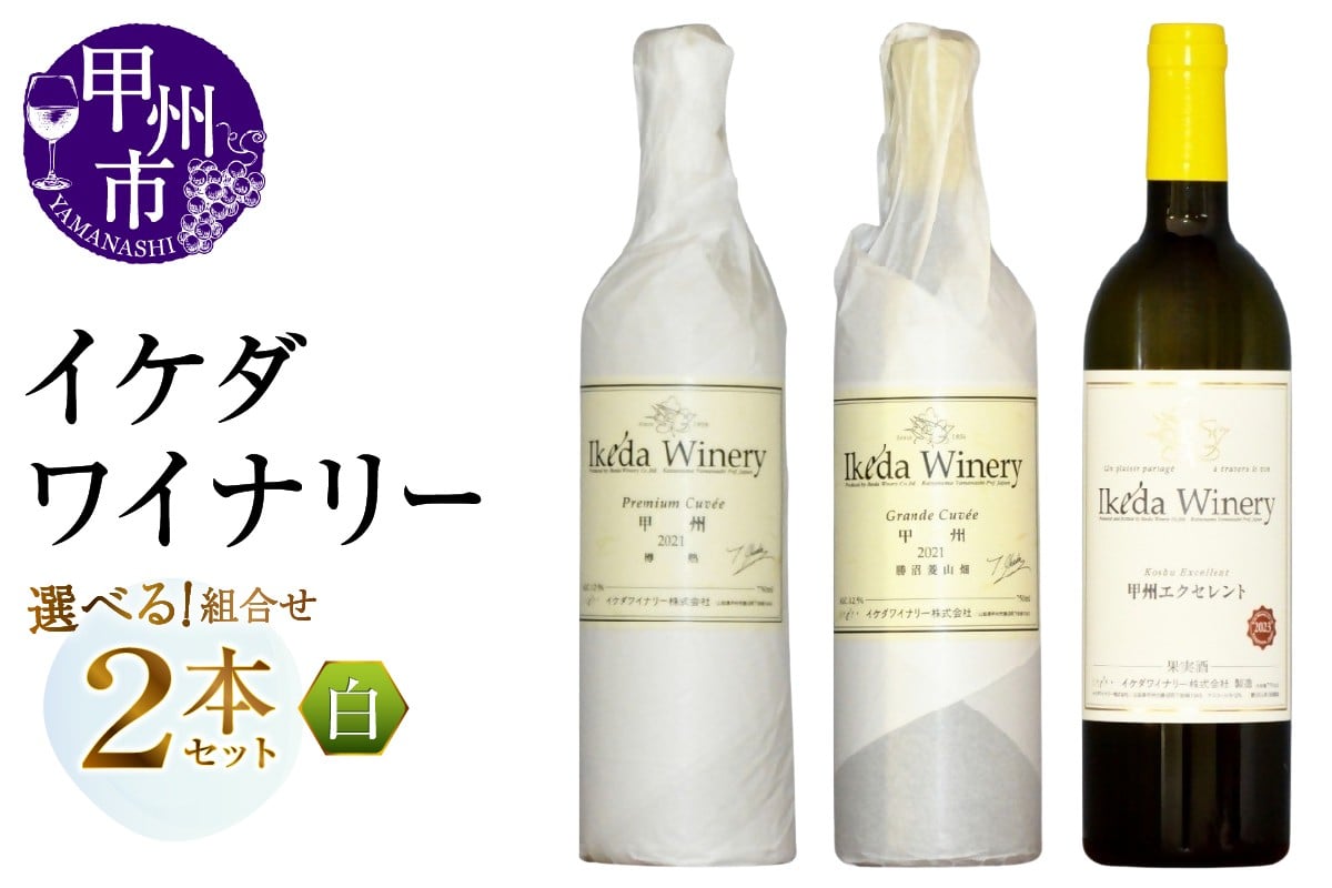 
                  【選べる組合せ】イケダワイナリー 2本セット【プレミアム・キュヴェ 甲州 / グラン・キュヴェ 甲州 / 甲州エクセレント】（MG）【ワイン 白ワイン やや辛口 やや甘口 甲州市 山梨県】
                