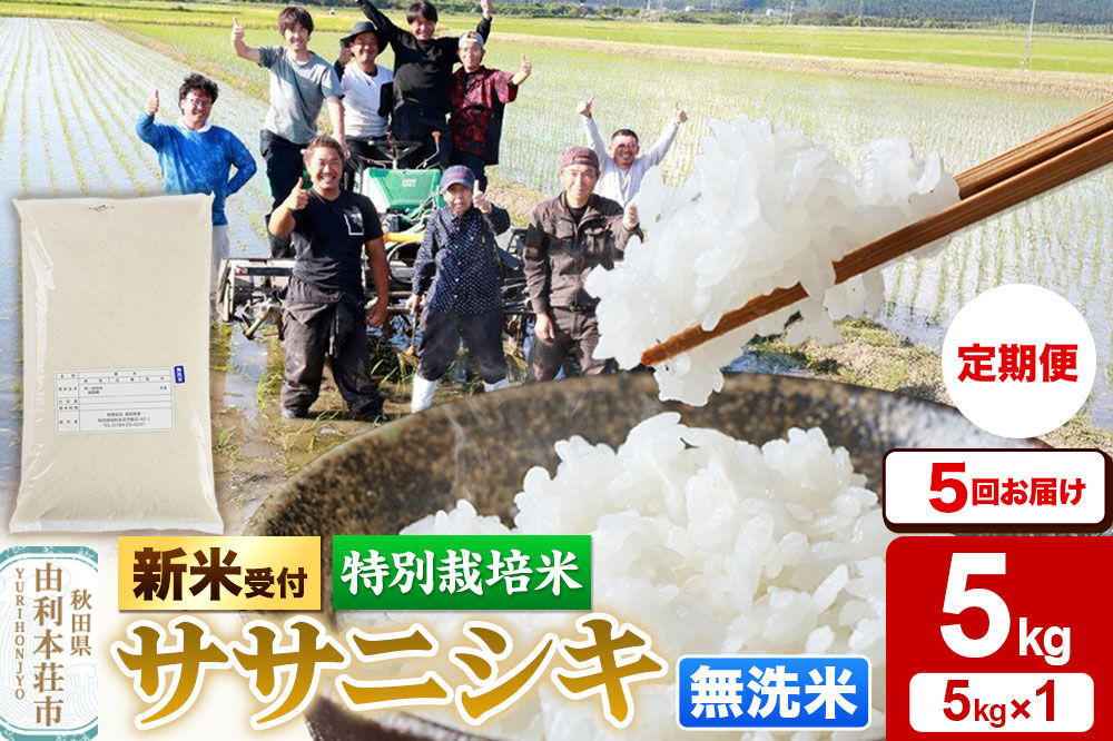 《令和8年産 新米受付》《定期便5ヶ月》【無洗米】特別栽培米 ササニシキ 5kg 秋田県産 [ササニシキ 新米予約 先行予約 米 お米 こめ 無洗米 精米 ブランド米 食卓 おにぎり 秋田県産 秋田]