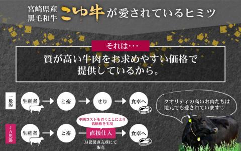 宮崎黒毛和牛＜JAこゆ牛＞赤身肉 1.2kg（焼き肉・すき焼き用）【D73】