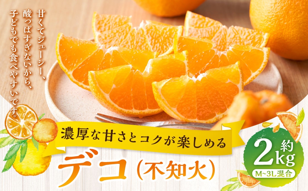 
                  【 濃厚な甘さとコクが楽しめる 】 デコ （ 不知火 ） 約2kg みかん ミカン 柑橘 柑橘類 柑橘系 くだもの 果物 フルーツ 果実 果汁 果肉 国産 愛媛県産 【 2027年1月上旬～4月下旬発送予定 】 ( 1048 )
                