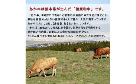 熊本県産 GI認証取得 くまもとあか牛 肩バラスライス 合計600g