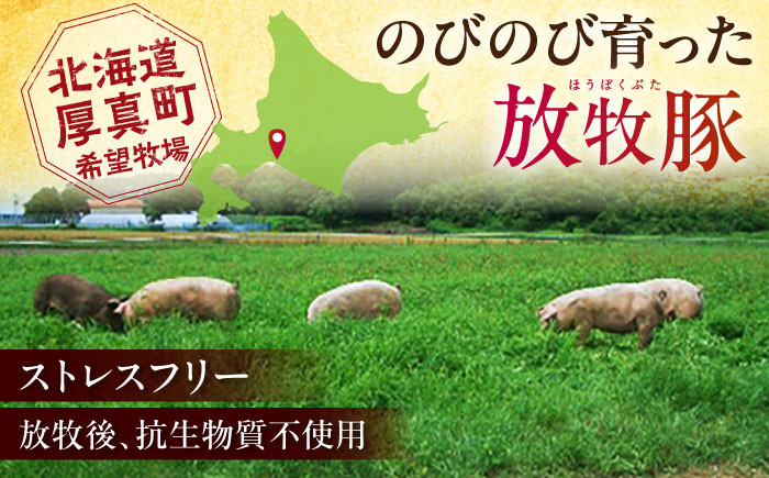 ソーセージ ウインナー チョリソー 粗挽き 冷凍配送 セット 詰め合わせ 北海道