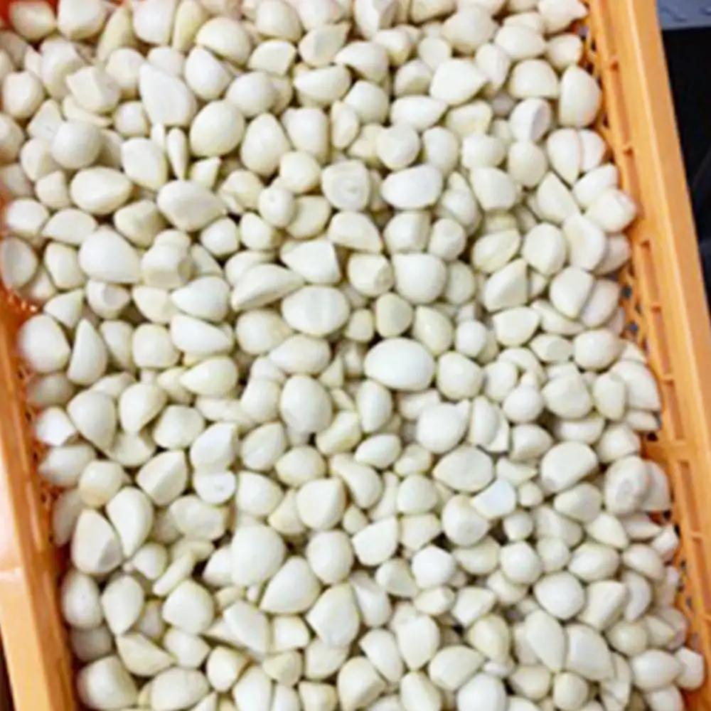 あきたしらかみにんにく 冷凍ペースト 1kg（約200g×5袋）　60P3218