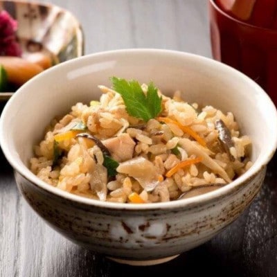 媛っこ地鶏の炭火親子丼・鶏めしセット【C17−2】【配送不可地域：離島】【1490235】
