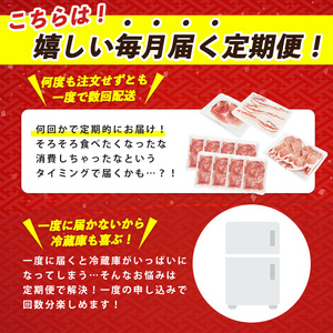 黒豚 全3回 黒豚 バラエティ 定期便 IBZ024-003