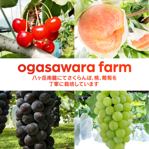 桃・葡萄 果実飲料 2本セット　果汁飲料 ネクター 720ml 自家栽培 農薬不使用 黄玉 高級果実飲料 フルーツ ソース ソルベ もも ピーチ ぶどう グレープ ドリンク ソフトドリンク 瓶 ビン 