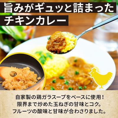 ふるさと納税 名古屋市 コーノスパイス スパイスカレー3種セット チキン エビカレー ベジタブル 各200g |  | 01