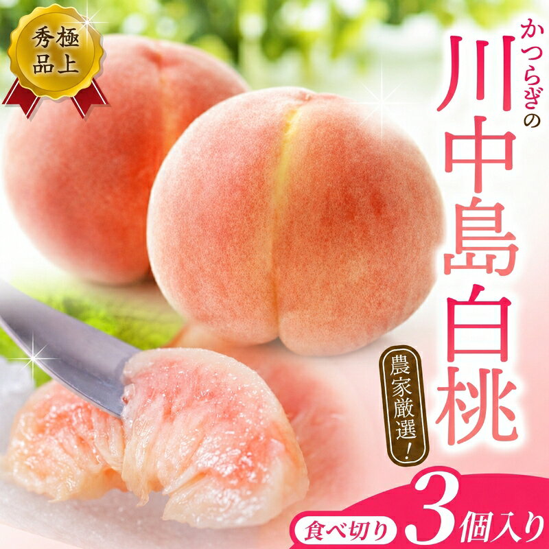 【ふるさと納税】【秀品】川中島白桃 食べきりやすい3個入り / こだわり 農家厳選 先行予約 モモ もも フルーツ 果物 くだもの 食品 人気 おすすめ 送料無料 ※2027年7月末頃～8月末頃に順次発送予定（お届け日指定不可） ※離島への配送不可
