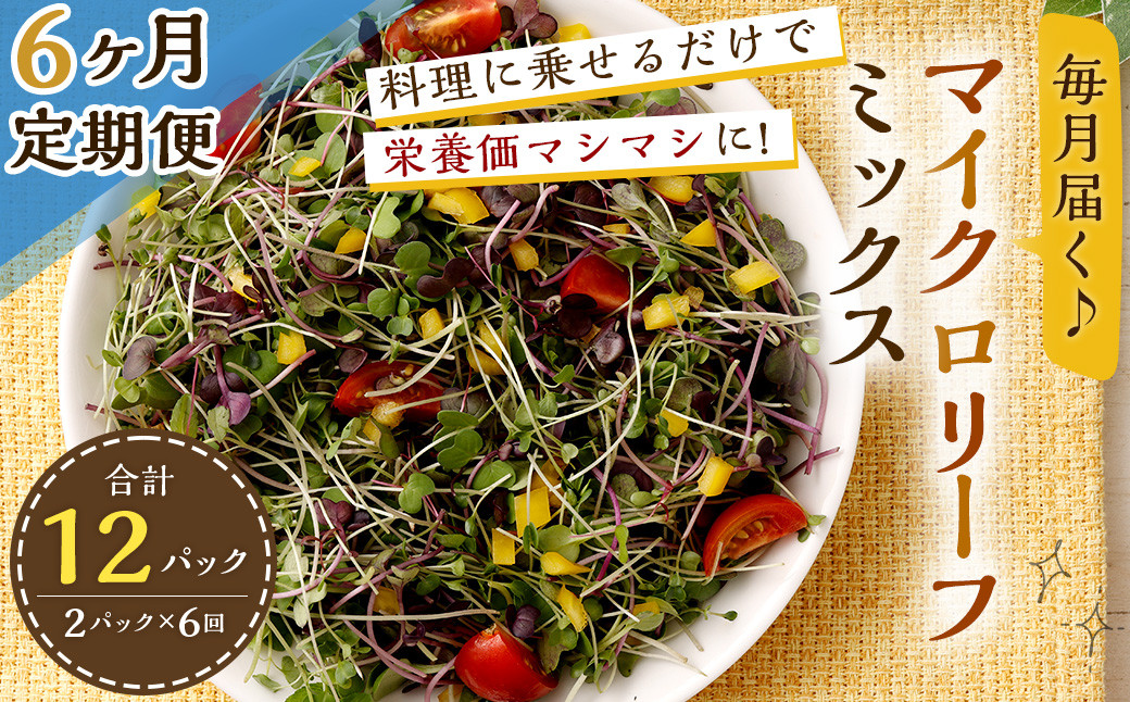 
                  【6回定期便】 マイクロリーフミックス 1回あたり約140g（70g×2個）合計 約840g サラダ 野菜 大分県 九重町産 定期便
                