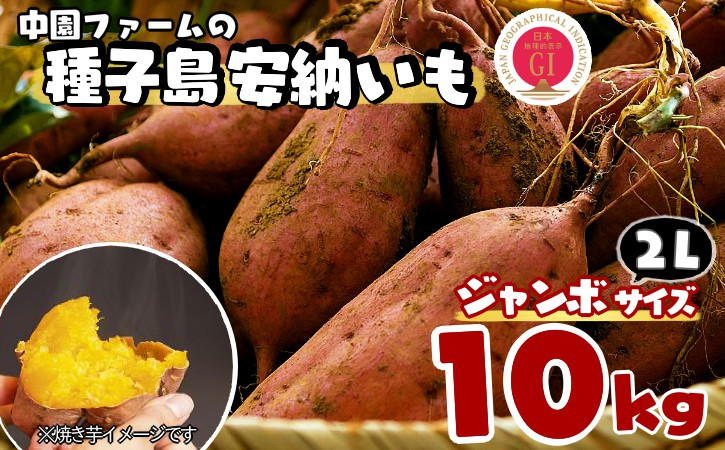 
                  種子島 中園ファーム 安納いも ( 生芋 ) ２L サイズ 10kg　NFN535【450pt】 // 安納芋 安納いも発祥の地 本場・安納地域産 糖度 熟成期間 G.I 保護制度 ブランド 金賞 生いも 芋 いも さつまいも
                