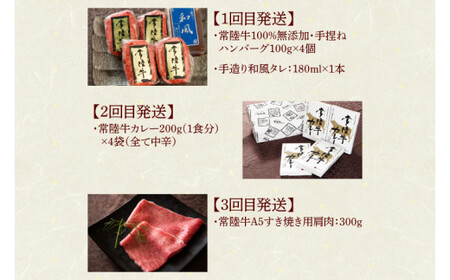 DU-107 【定期便 全6回】茨城県産 常陸牛 6ヶ月 定期便 Aコース　　　ハンバーグ 焼肉 すき焼き レトルトカレー コンビーフ【肉のイイジマ】